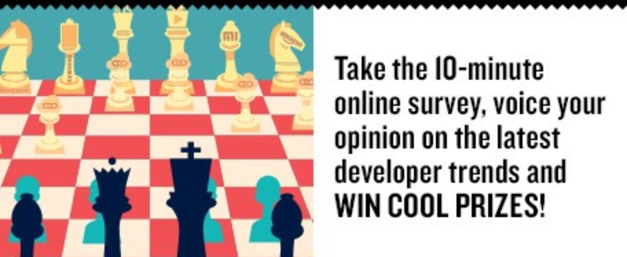 Developer Economics survey 2015 Developer Skills Census