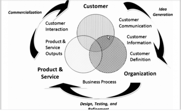 Customer-Driven Innovation | BongoHive