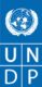 undp