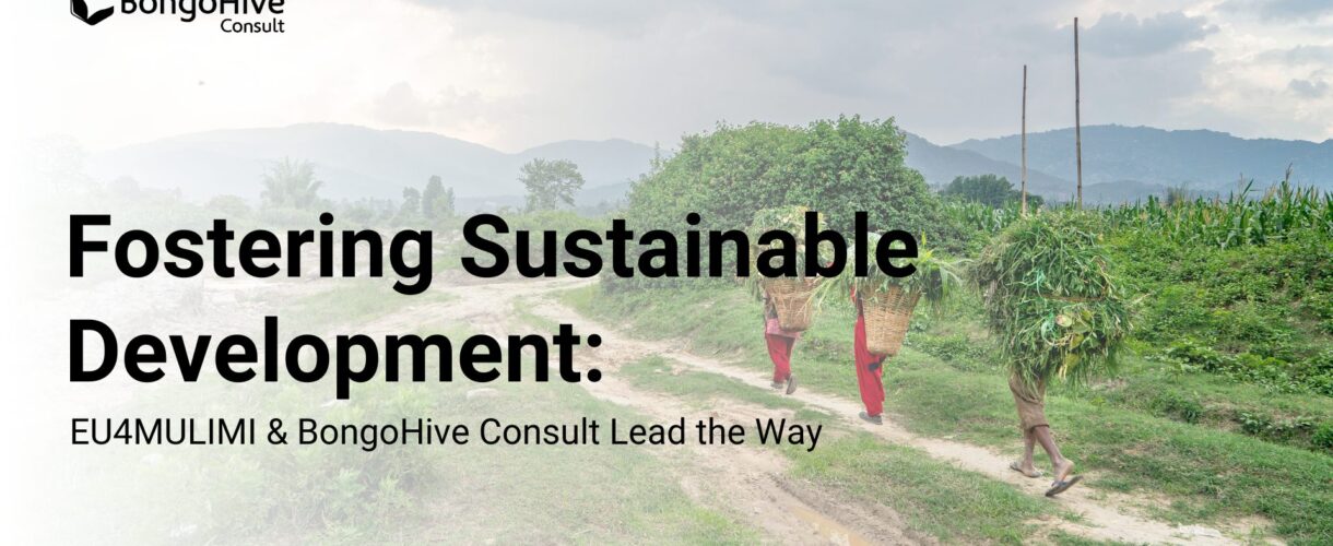 Fostering Sustainable Development