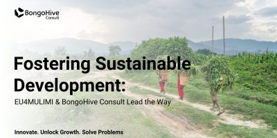 Fostering Sustainable Development