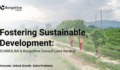 Fostering Sustainable Development