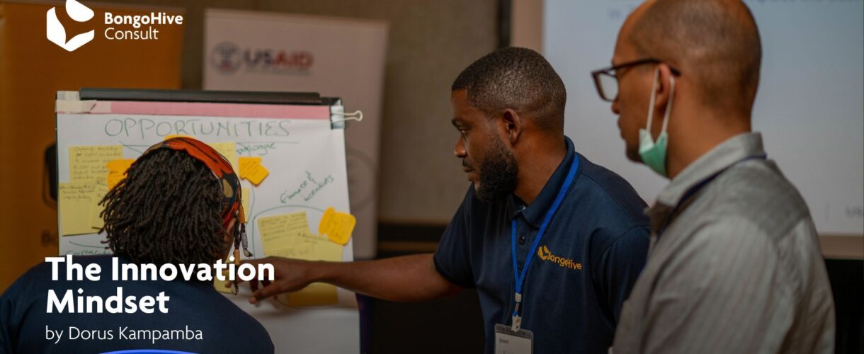 The Innovation Mindset Cover