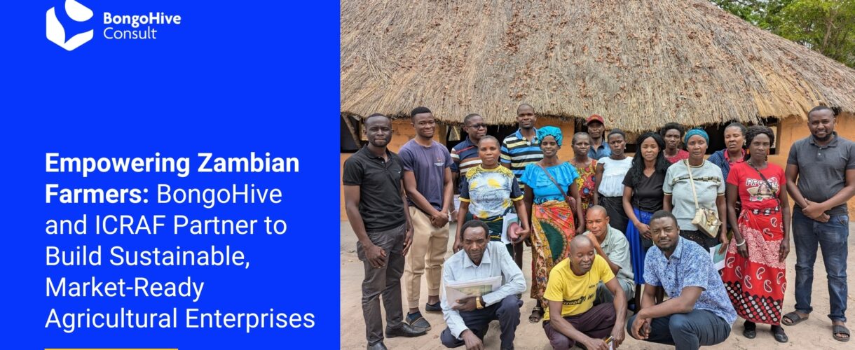 Empowering Zambian Farmers_ BongoHive and ICRAF Partner to Build Sustainable, Market-Ready Agricultural Enterprises 2