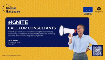 IGNITE Social Media Post_Call for Consultants - Banner - 2 (1)